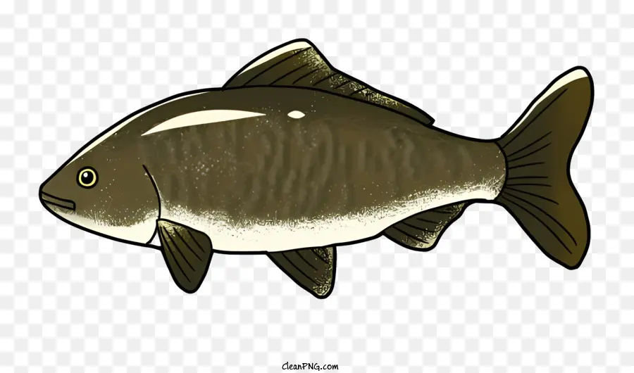 Peixe，Peixe Marrom PNG