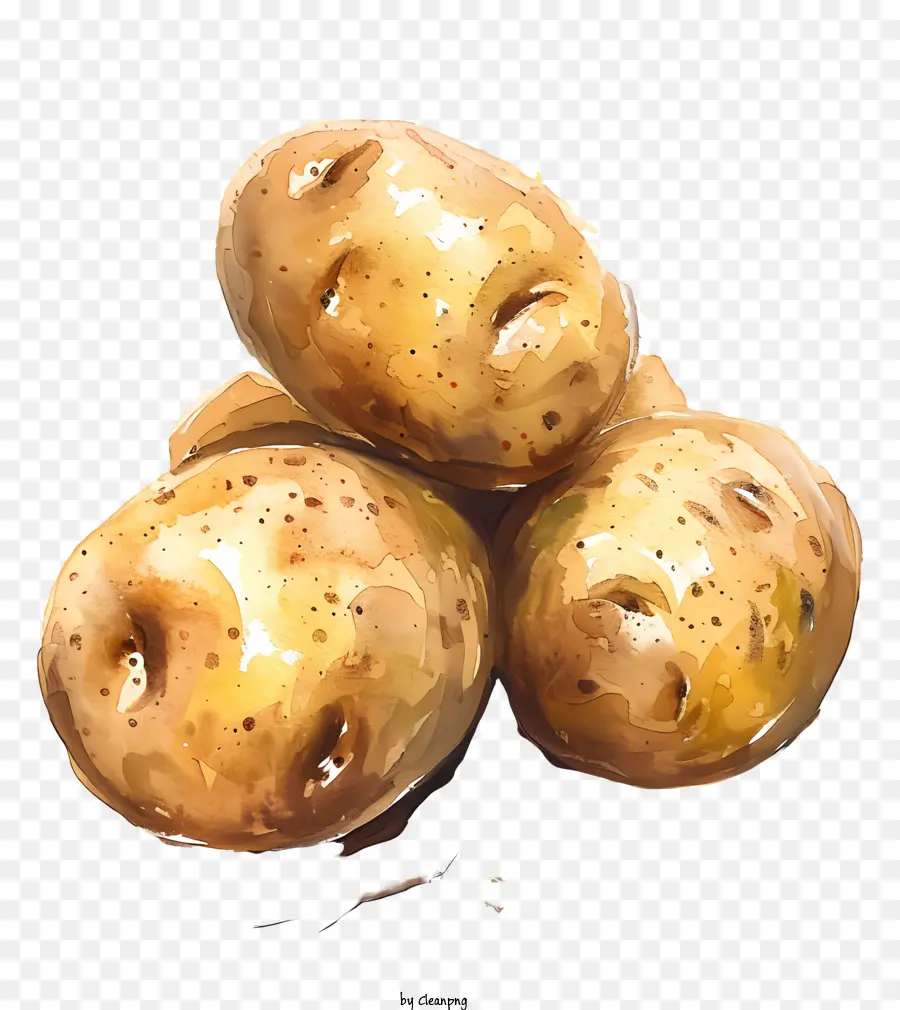 Batatas，Pintura Em Aquarela PNG