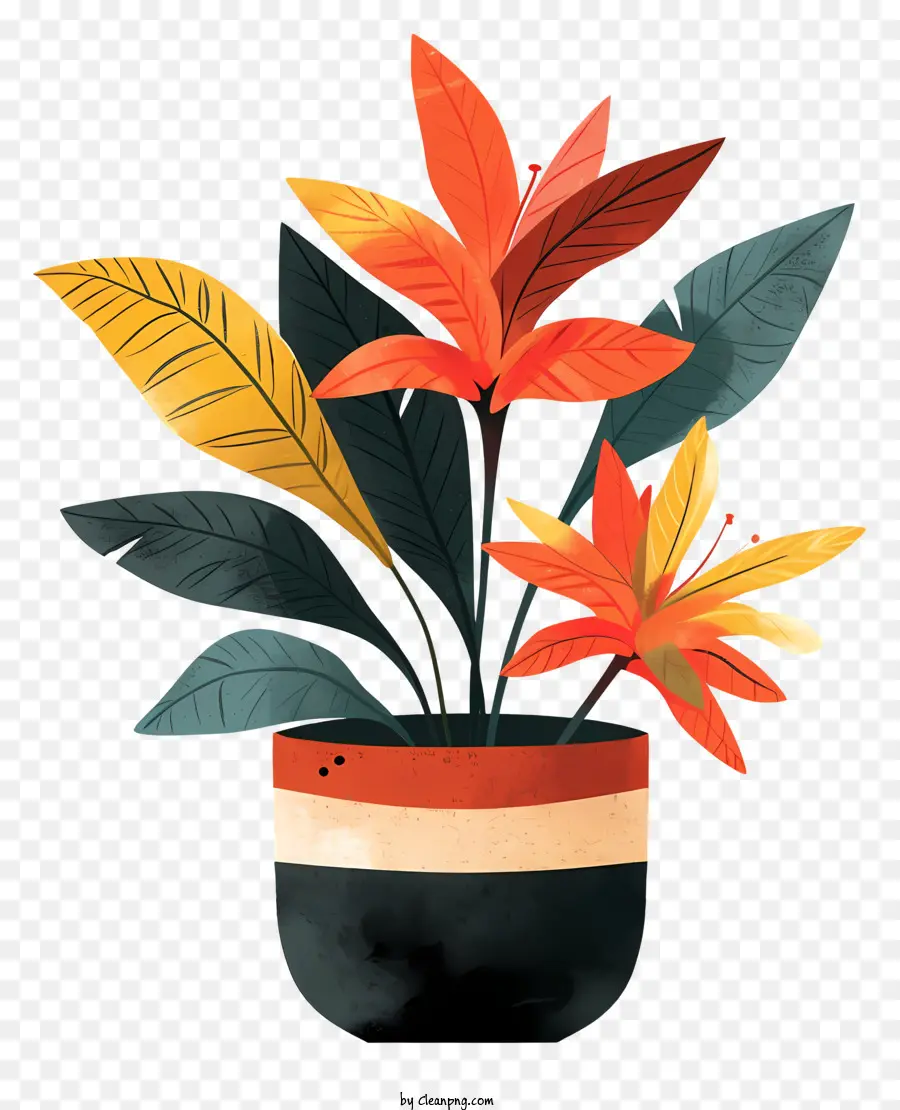Moderno Vaso De Flores，Planta PNG