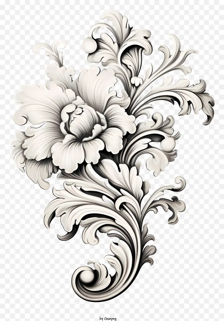 Design Floral，Flores Brancas PNG