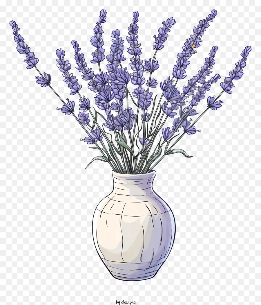 Lavanda Em Vaso，Flores PNG