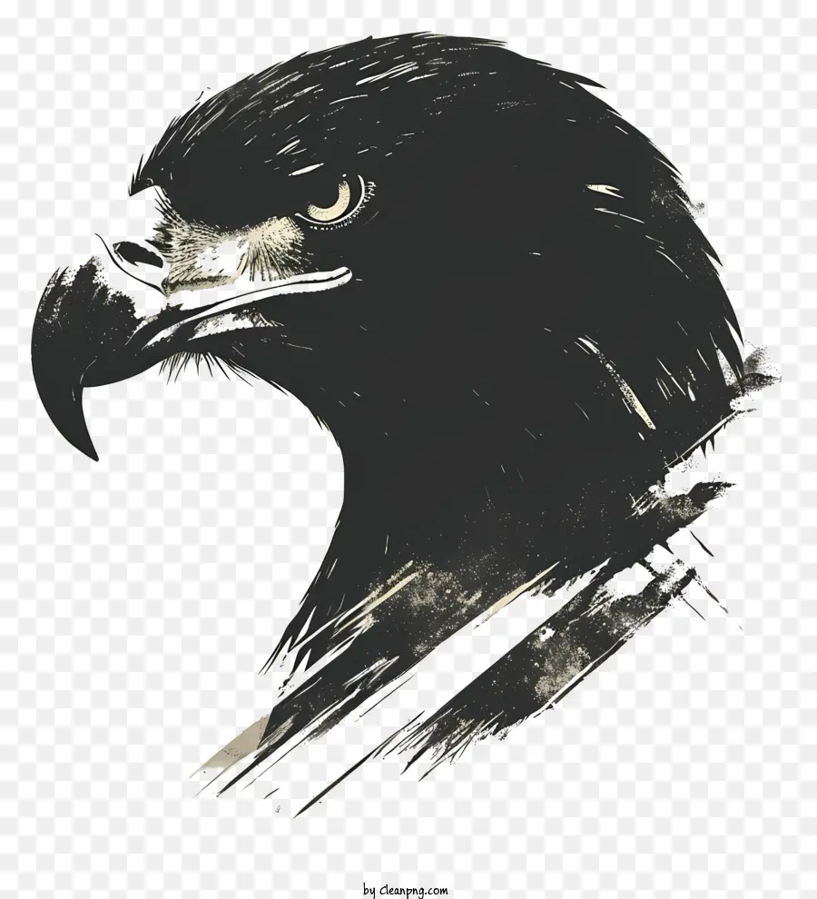 A águia De Cabeça，águia PNG