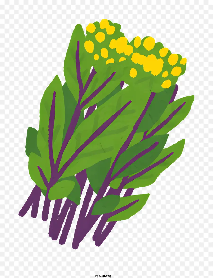 Vegetal，Folhas Verdes PNG