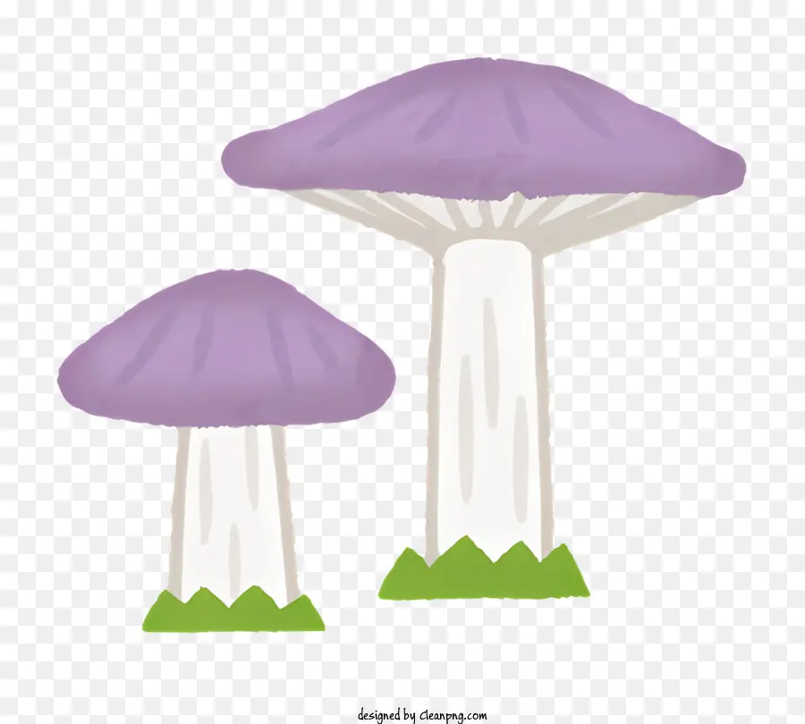 Vegetal，Cogumelos PNG