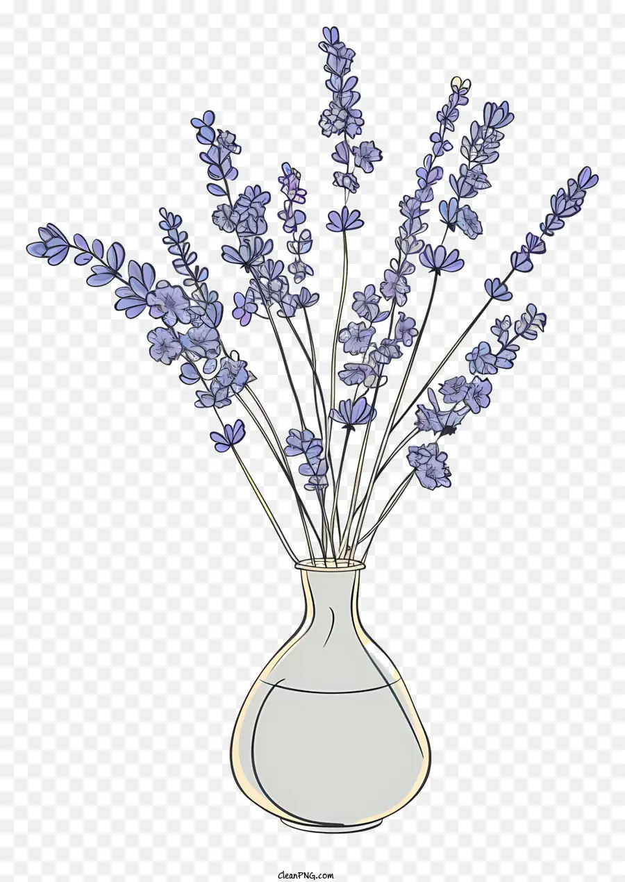 Lavanda Em Vaso，Flores PNG