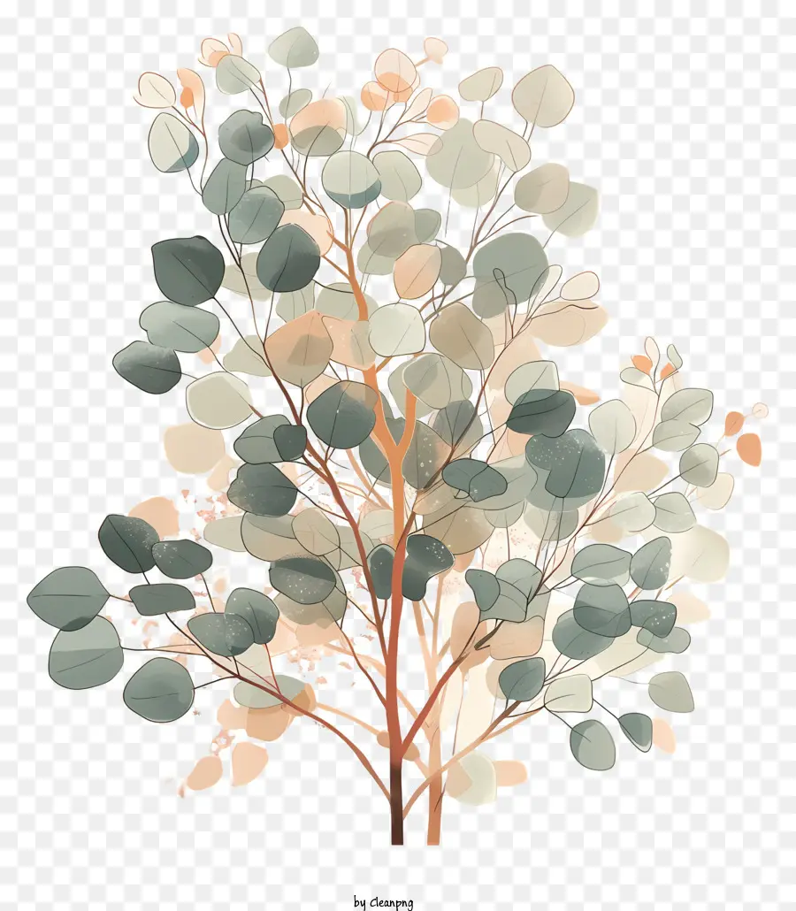 árvore De Eucalipto，Pintura PNG