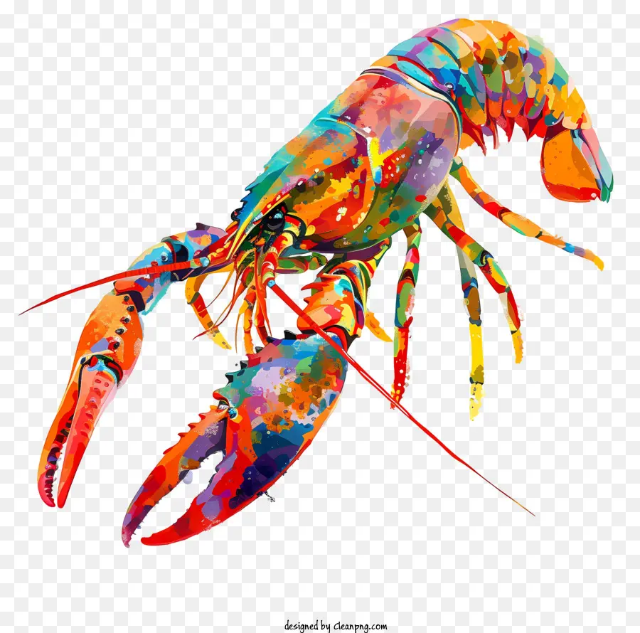 Crawfish，Lagosta Pintada Colorida PNG