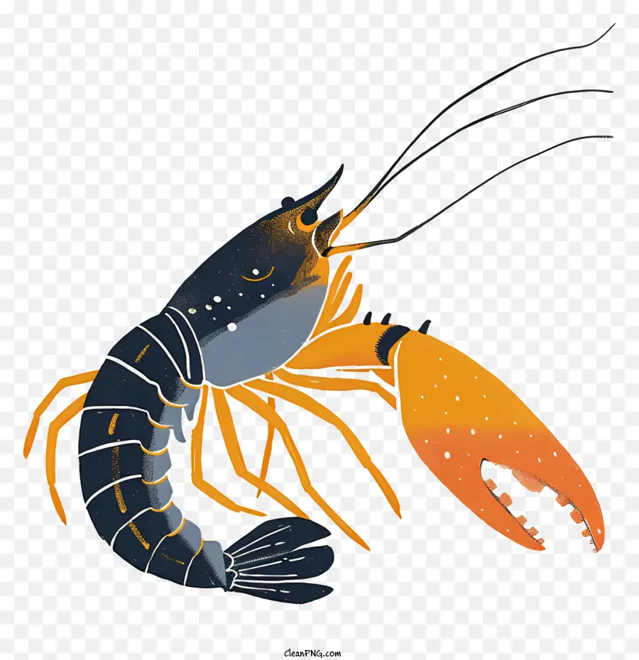Crawfish，Lagostim PNG