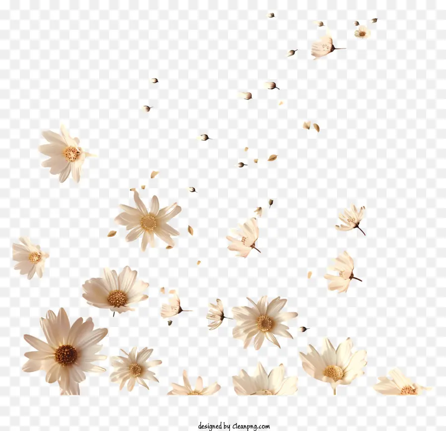As Flores Que Voam，Flores Brancas PNG