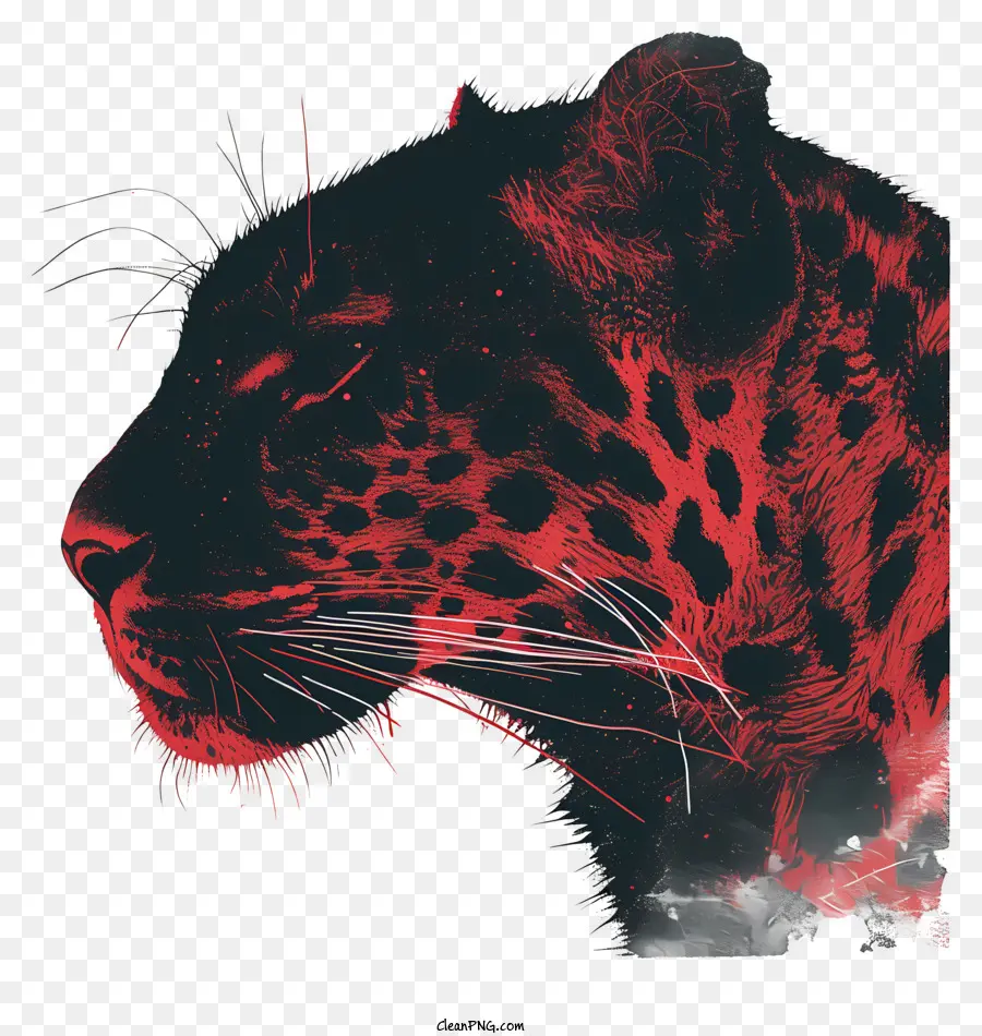 Leopardo，Selvagem PNG