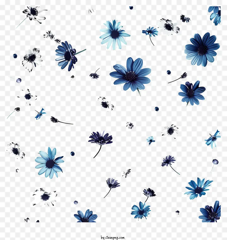 As Flores Que Voam，Margaridas Azuis PNG