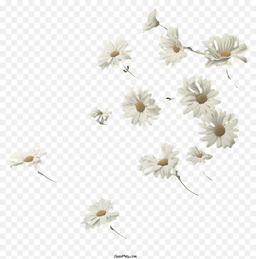 As Flores Que Voam，Margarida Flores PNG