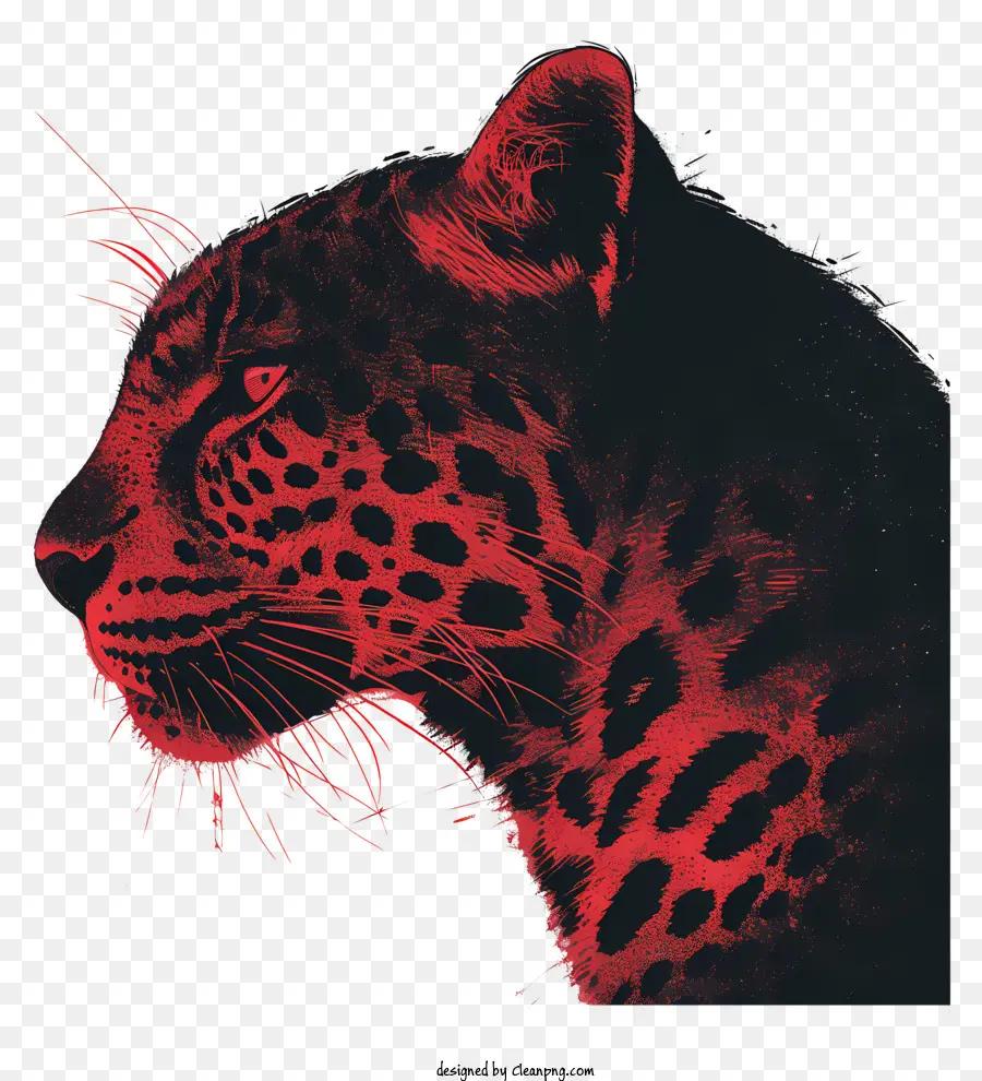 Leopard，Fotografia Em Preto E Branco PNG