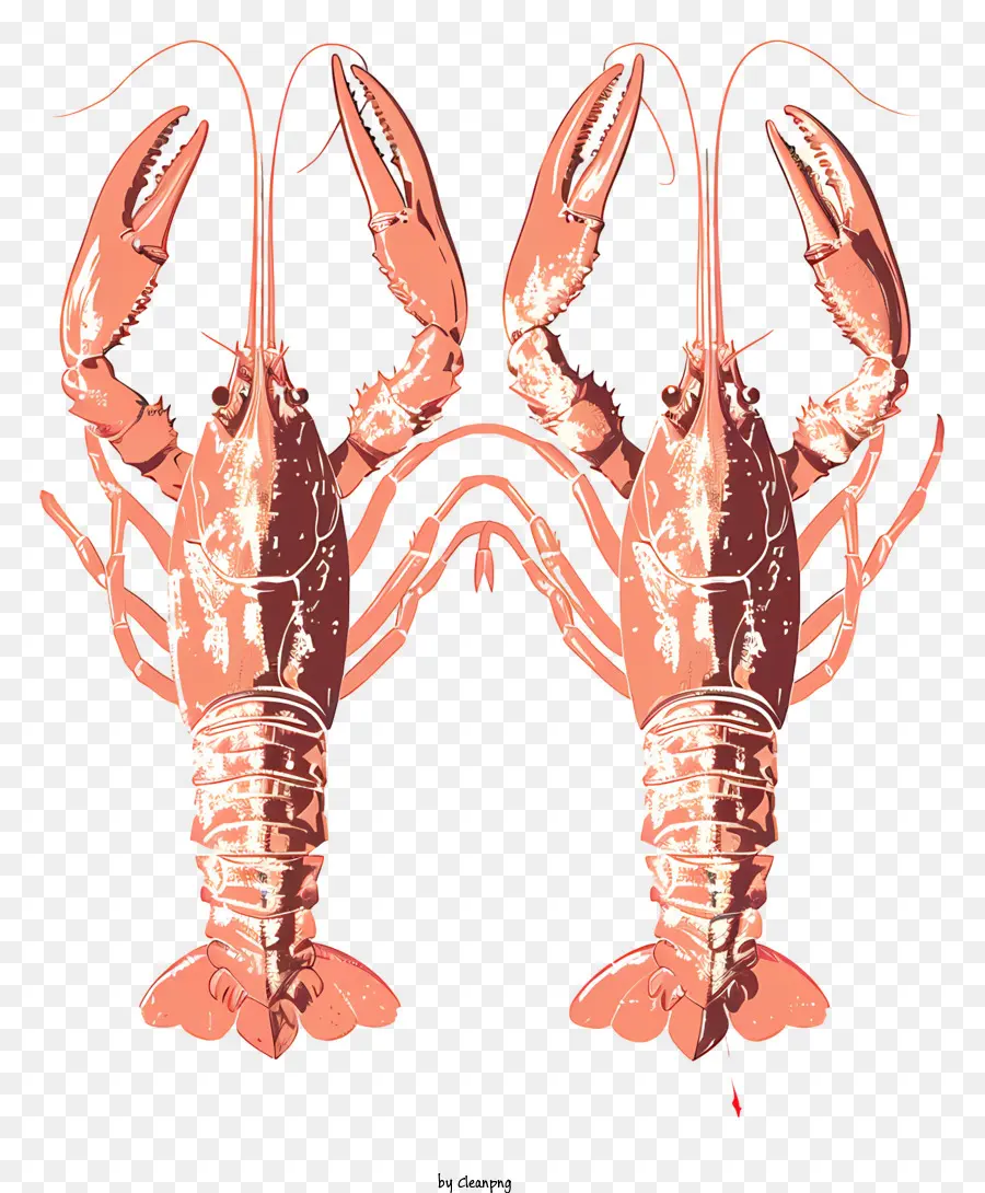 Crawfish，Lagostas PNG