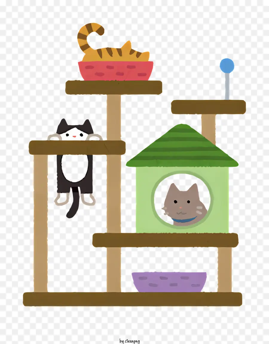 Torre De Gato De Madeira，Gatos Tocando PNG