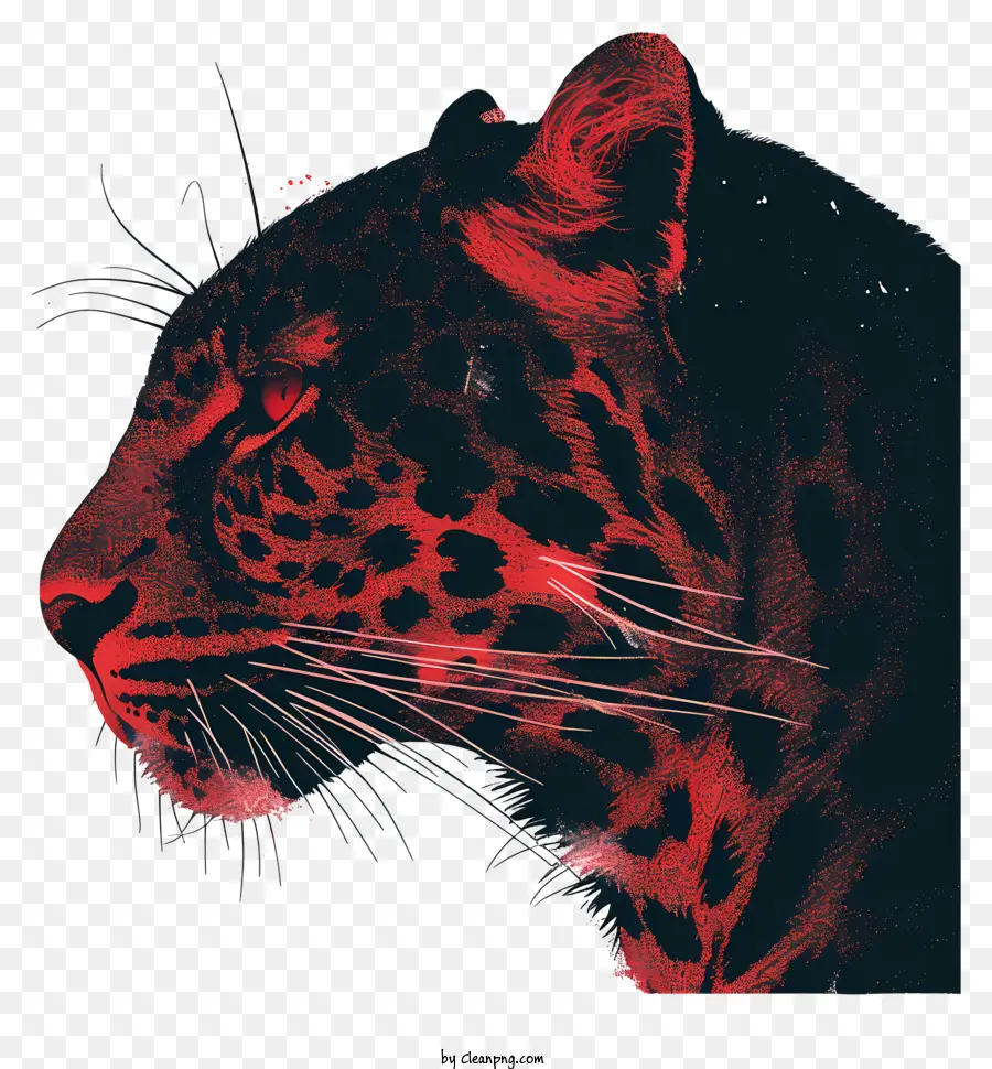 Leopard，Olhos Negros PNG