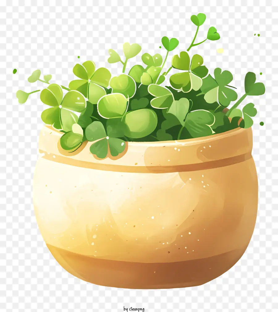 Pote，Planta Em Vaso PNG