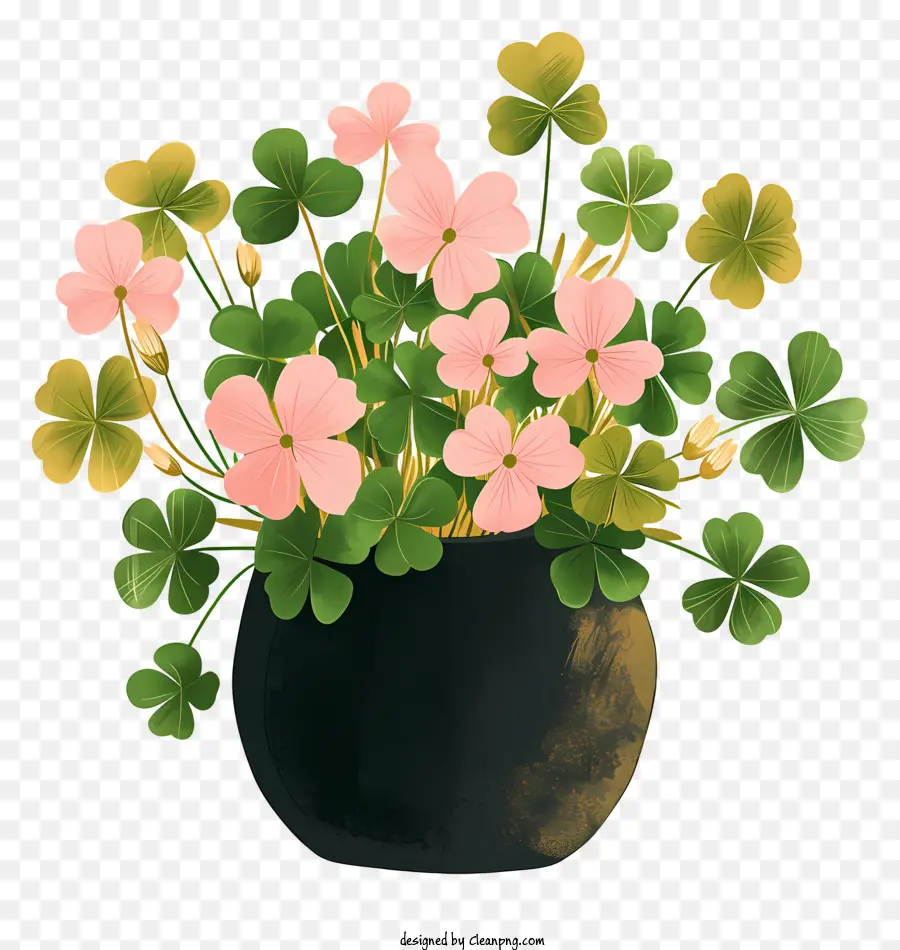 Pote，Shamrocks Rosa PNG