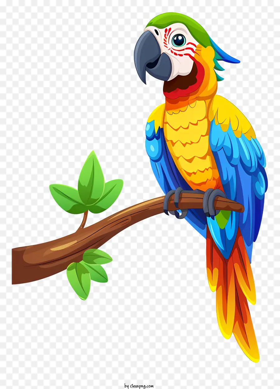 Arara，Parrot Colorido PNG