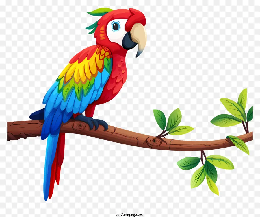 Arara，Parrot Colorido PNG