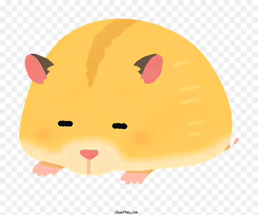 ícone，Hamster Fofo PNG