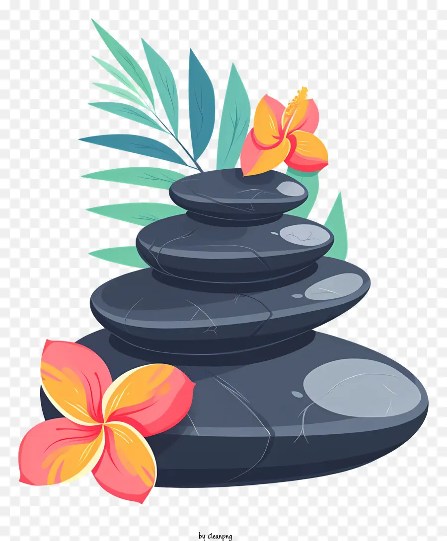 Spa Pedras，Black Background PNG