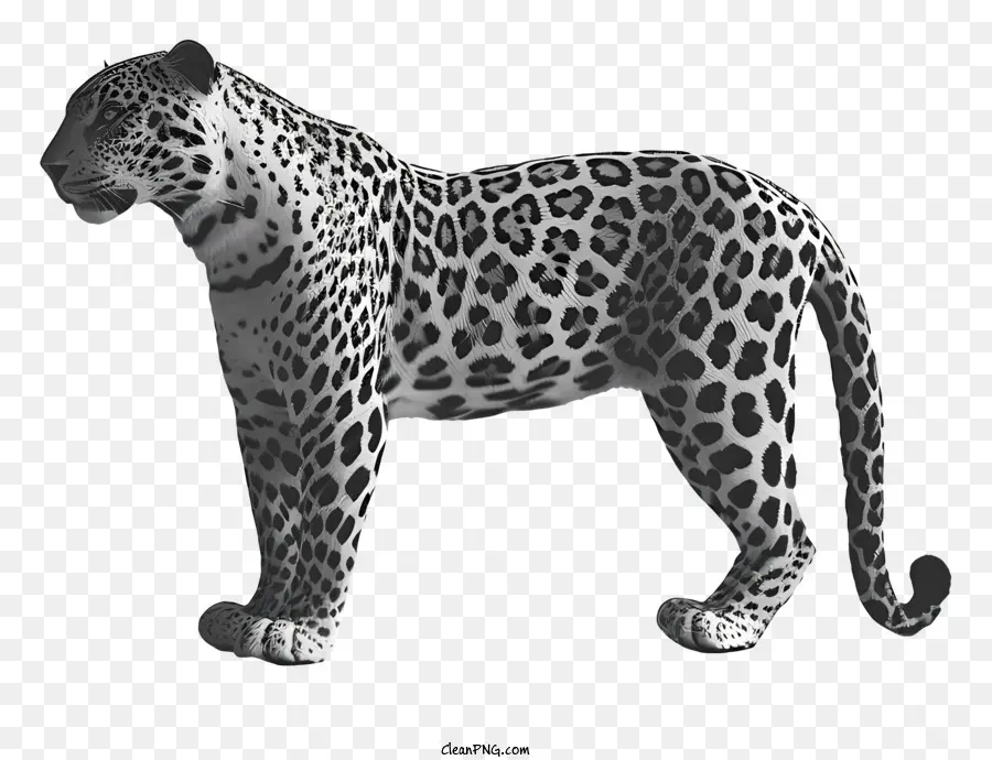 Leopard，De Pé Em Duas Pernas PNG