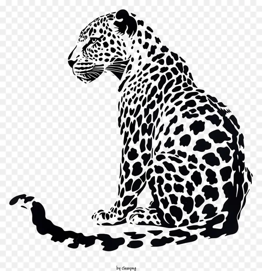 Leopard，Preto Leopardo PNG