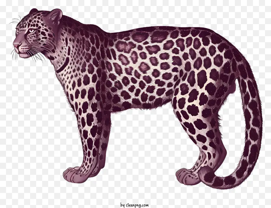 Leopard，Preto E Branco Padrão PNG