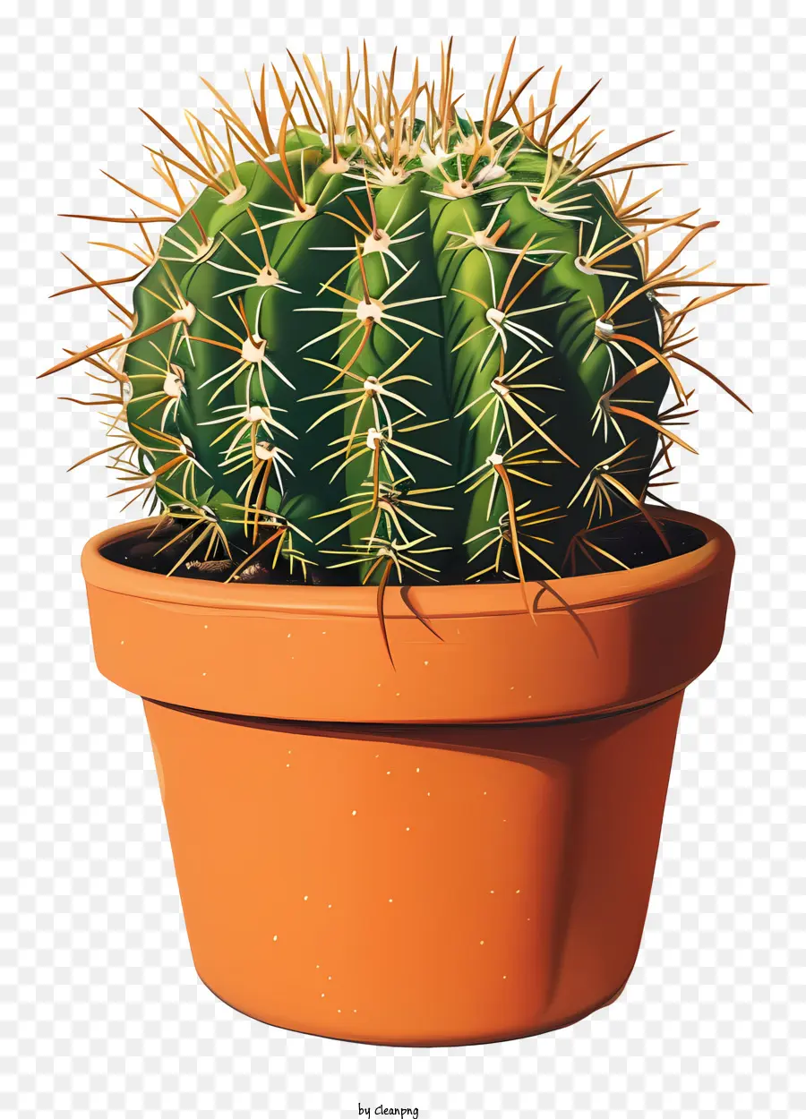 Cacto Na Panela，Cactus PNG