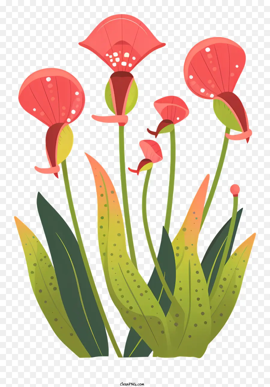 Planta Carnívora，Desenho Animado Flores PNG