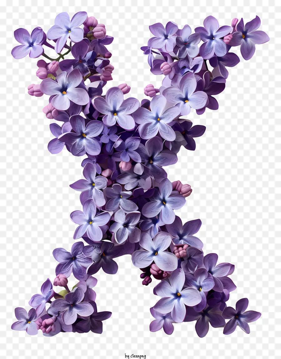 Letra Floral X，Flores PNG