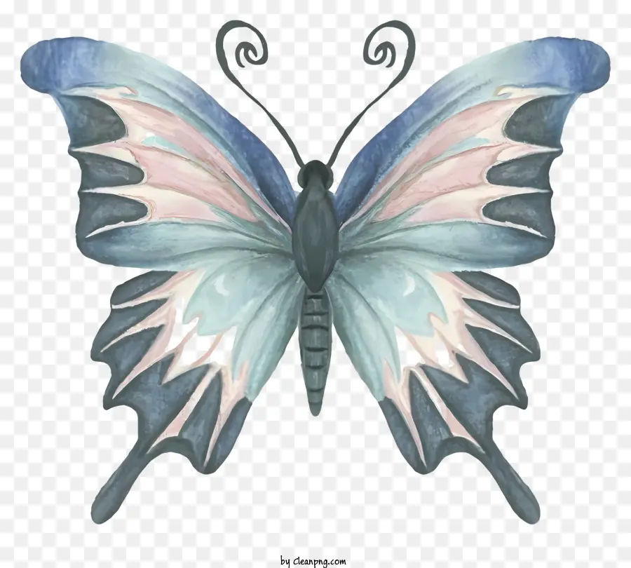 Borboleta，Butterfly Grande PNG