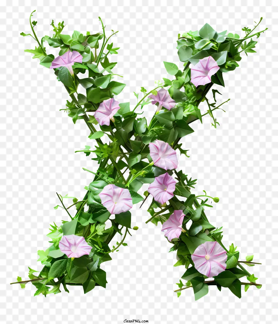 Carta Floral X，Folhas Verdes PNG