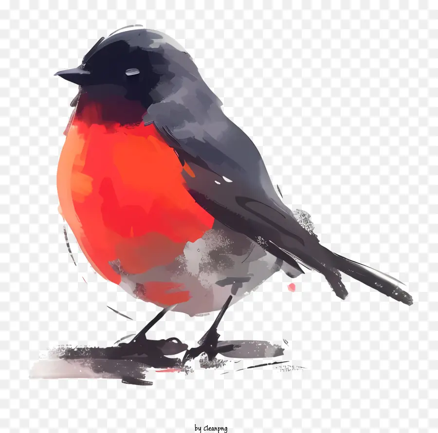 Aves，Pássaro De Pintura PNG