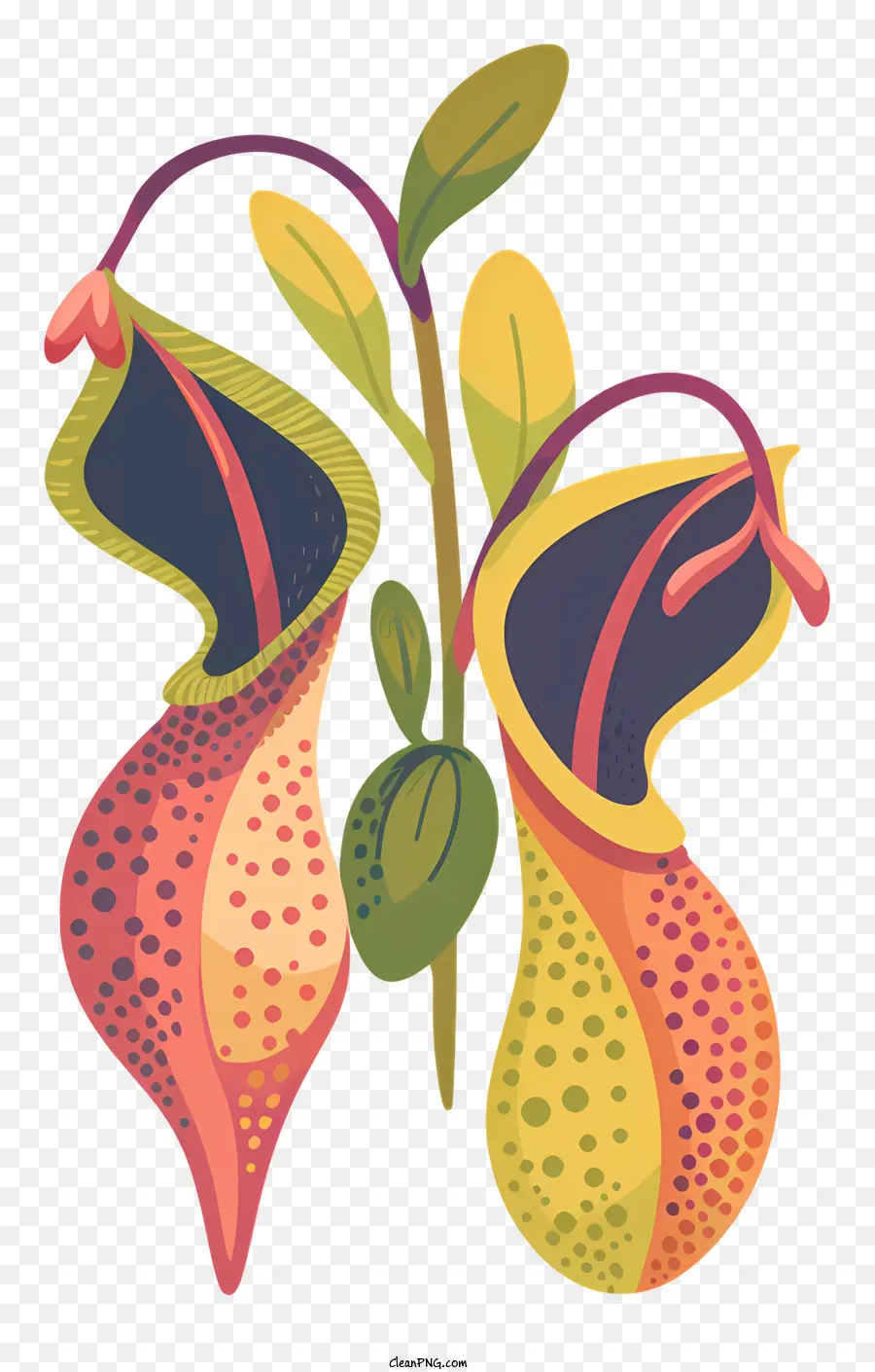 Nepenthes，Flores Vibrantes PNG