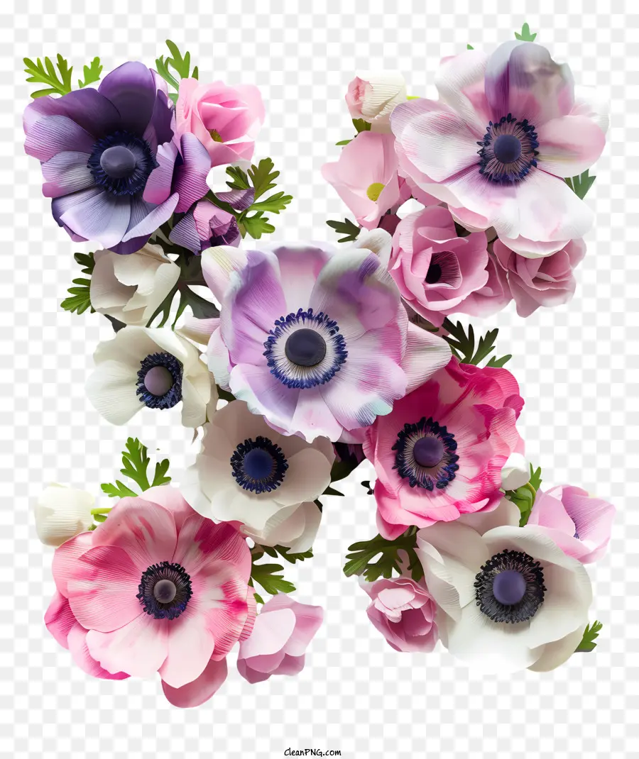 Carta Floral X，Buquê PNG