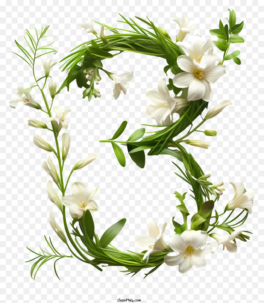 Número 3 Flores，Floral Letra PNG