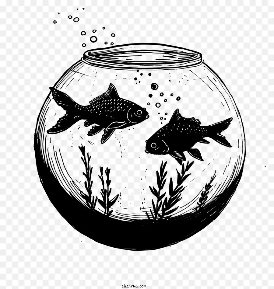 Fish Bowl，água PNG