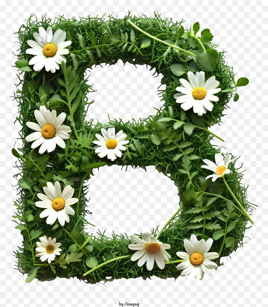 Carta Floral B，Letra B PNG