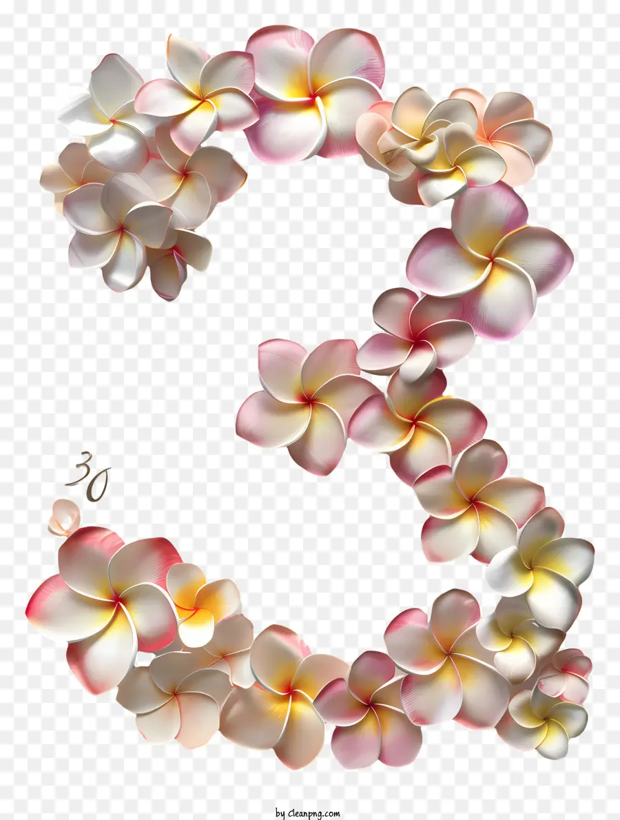 Número 3 Flores，Número 3 PNG