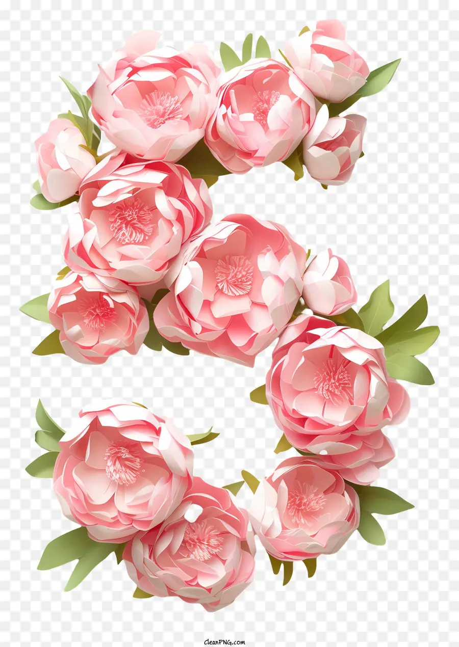 Número 5 Flores，Peônias Rosa PNG