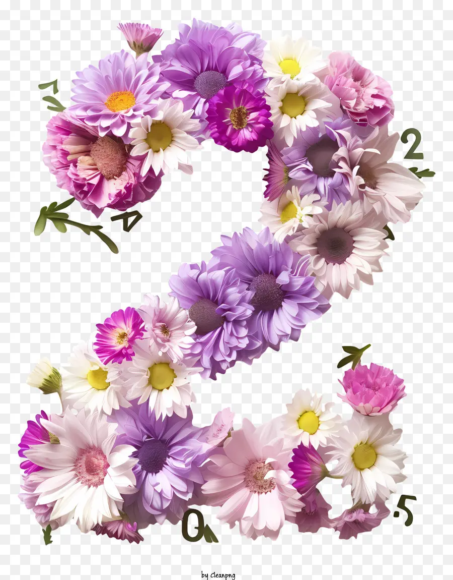 Flores Número 2，Flor Arte PNG