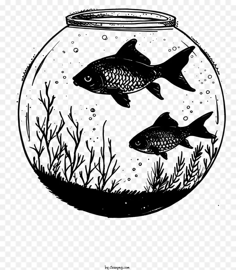 Fish Bowl，Aquário PNG