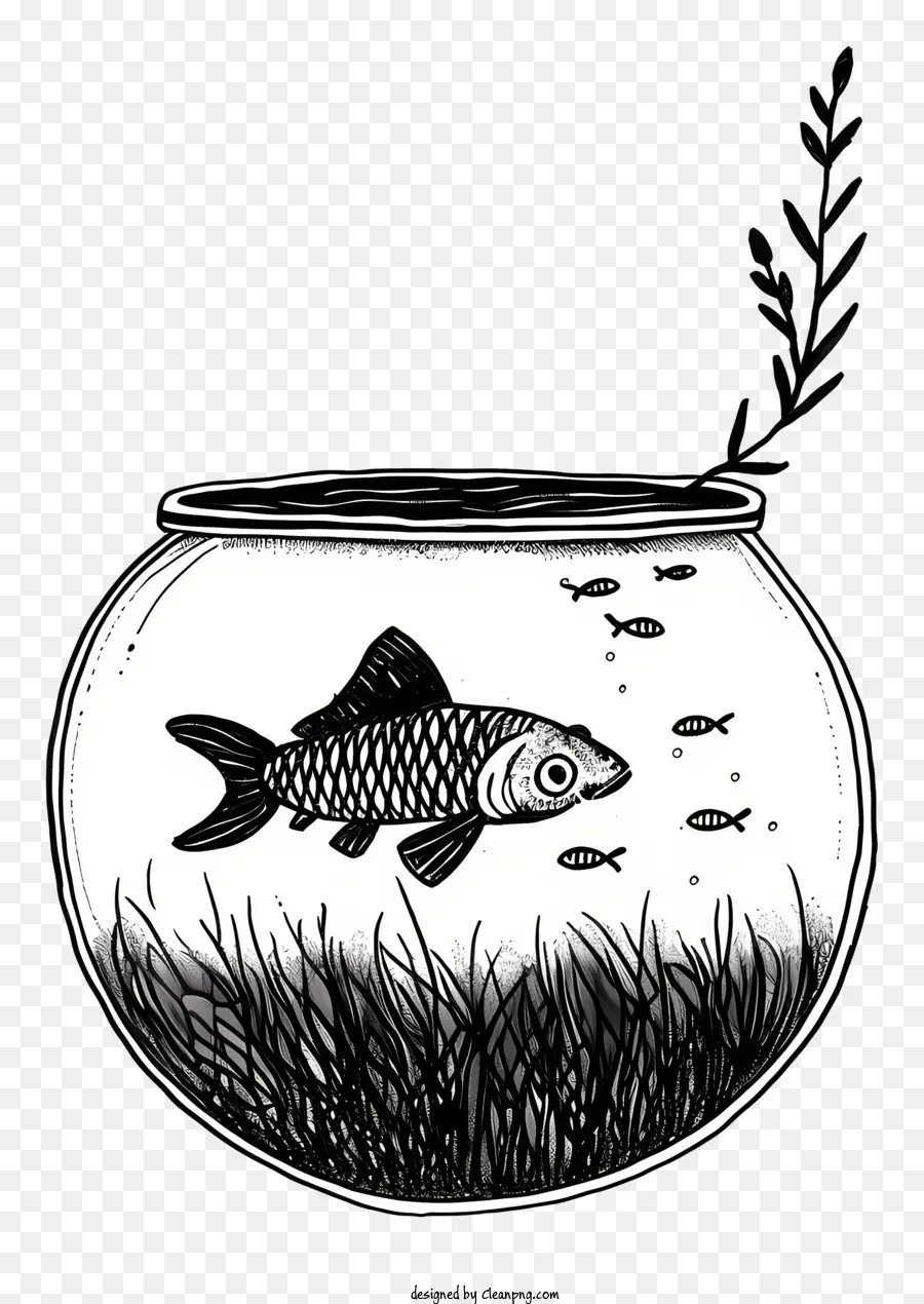 Fish Bowl，Tanque De Peixes PNG