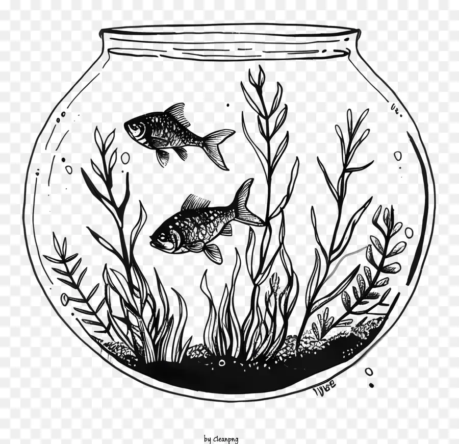 Fish Bowl，Plantas De água PNG