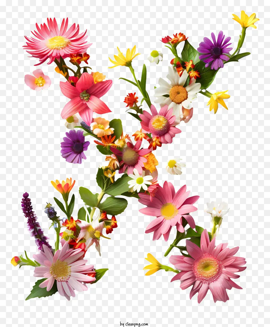 Carta Floral X，Flor Do Alfabeto PNG