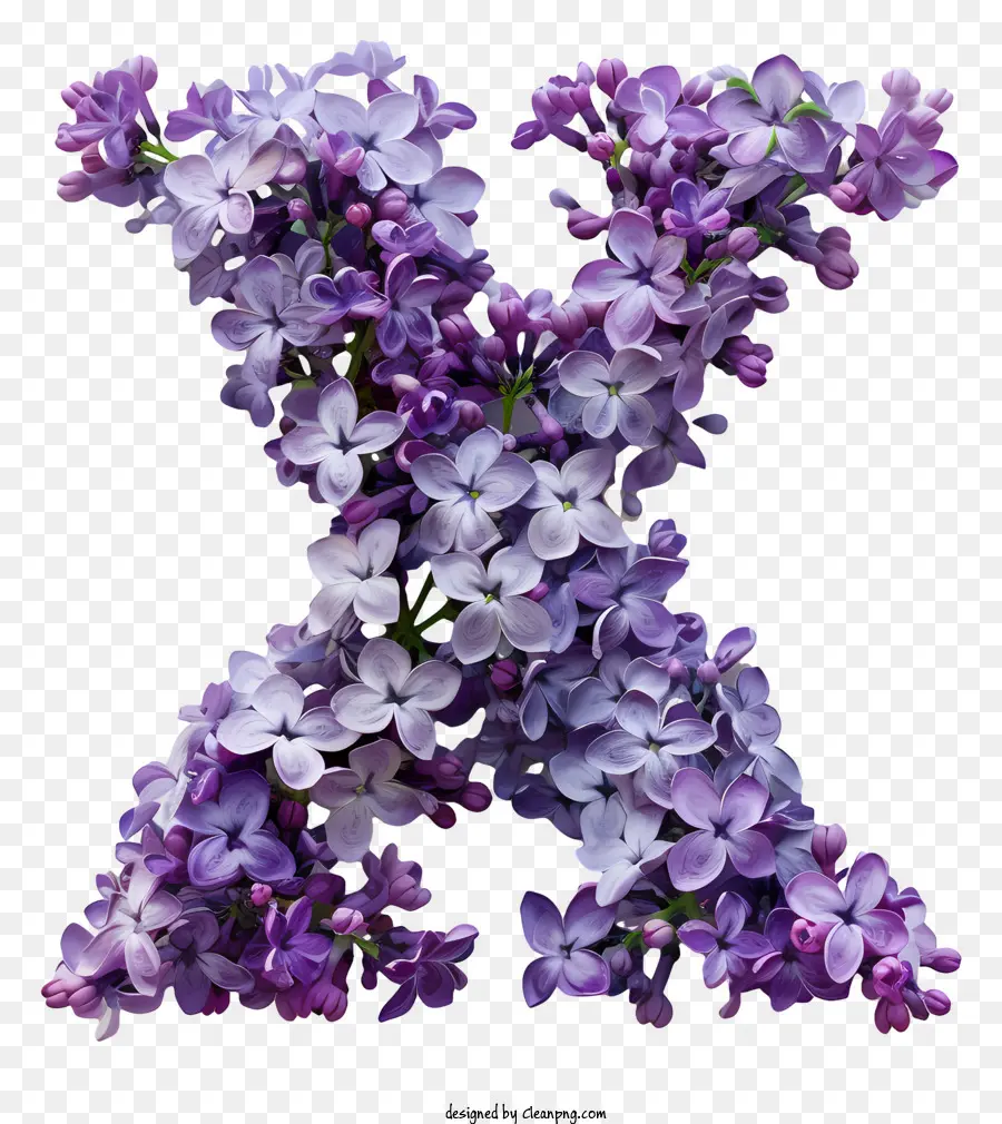 Carta Floral X，Flor De Lila Púrpura PNG