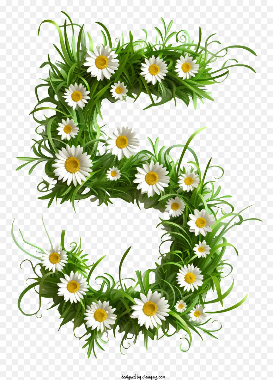 Número 5 Flores，Margarida Branco PNG