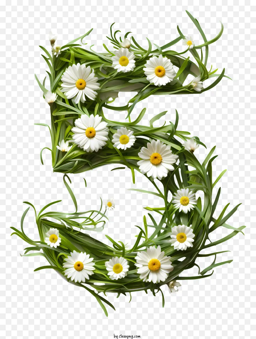 Número 5 Flores，Arranjo De Flores PNG